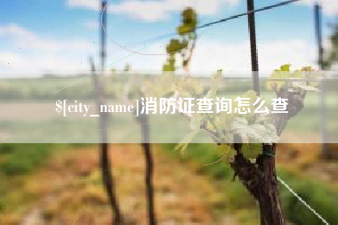 永春消防证查询怎么查