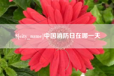永春中国消防日在哪一天