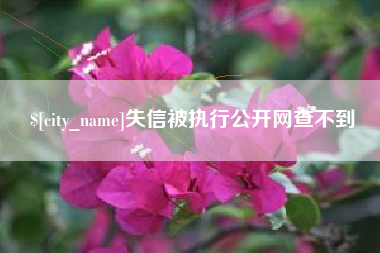 永春失信被执行公开网查不到