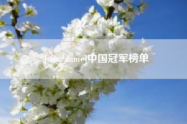 永春中国冠军榜单