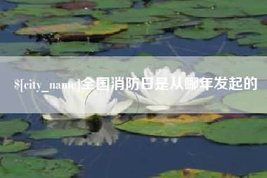 永春全国消防日是从哪年发起的