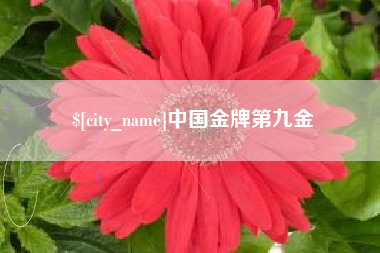 永春中国金牌第九金