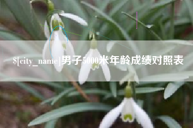 永春男子5000米年龄成绩对照表