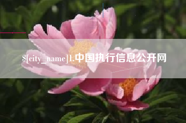 永春1.中国执行信息公开网