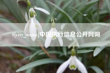 永春中国执行信息公开网询
