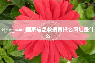 永春国家应急救援员报名网址是什么