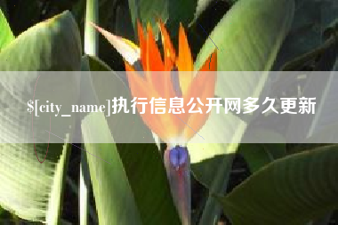 永春执行信息公开网多久更新