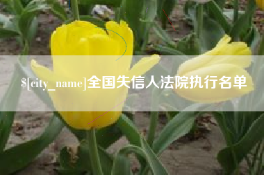 永春全国失信人法院执行名单