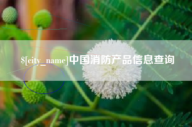 永春中国消防产品信息查询