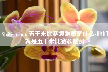 永春五千米比赛领跑员是什么-他们就是五千米比赛领跑员