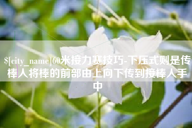 永春60米接力赛技巧-下压式则是传棒人将棒的前部由上向下传到接棒人手中