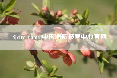 永春中国消防报考中心官网