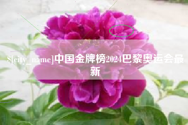 永春中国金牌榜2024巴黎奥运会最新