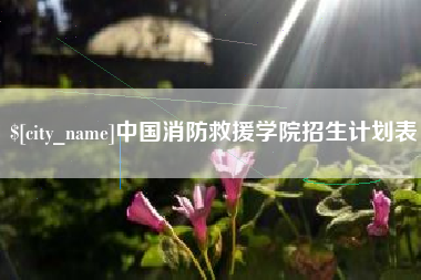 永春中国消防救援学院招生计划表