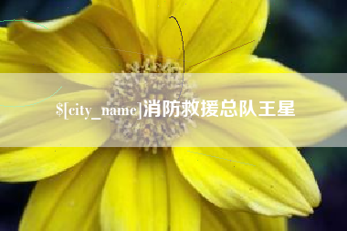 永春消防救援总队王星