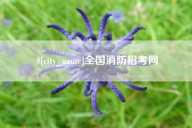 永春全国消防招考网