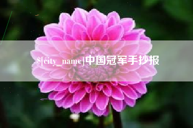 永春中国冠军手抄报