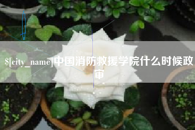 永春中国消防救援学院什么时候政审