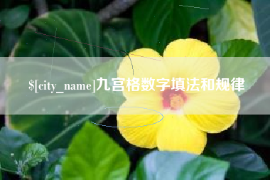 永春九宫格数字填法和规律
