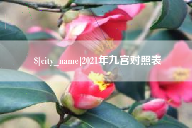永春2021年九宫对照表