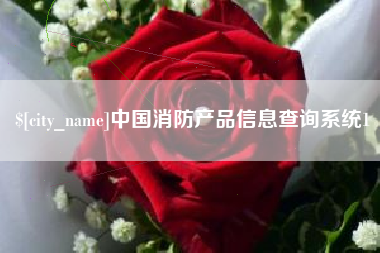 永春中国消防产品信息查询系统1
