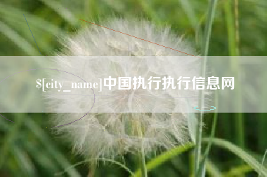 永春中国执行执行信息网