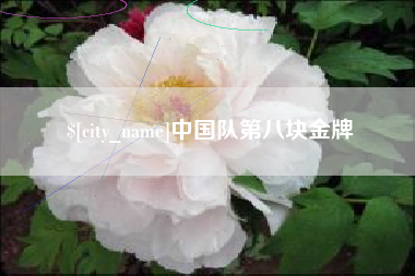 永春中国队第八块金牌