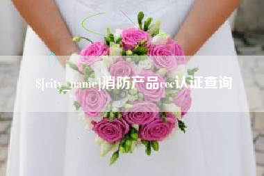 永春消防产品ccc认证查询