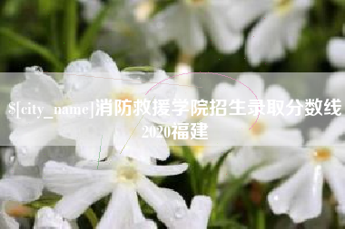 永春消防救援学院招生录取分数线2020福建