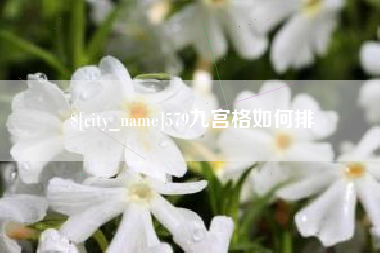 永春579九宫格如何排