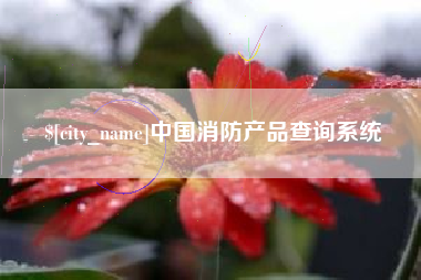 永春中国消防产品查询系统