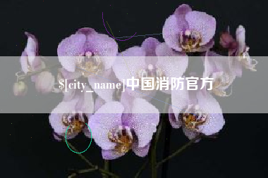 永春中国消防官方