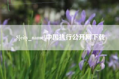 永春中国执行公开网下载