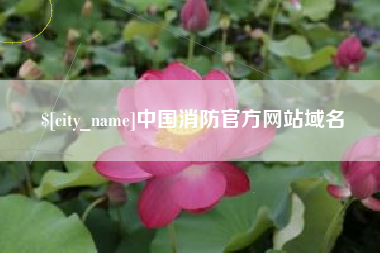 永春中国消防官方网站域名