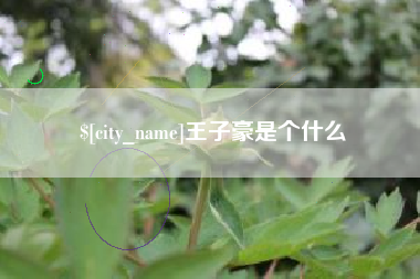 永春王子豪是个什么