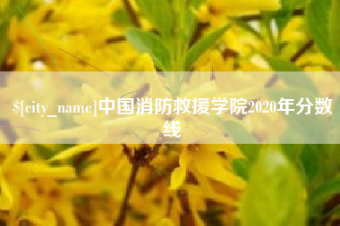 永春中国消防救援学院2020年分数线