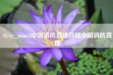 永春中国消防直播回放中国消防直播
