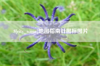 永春地图指南针图标图片