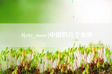 永春中国的几个金牌