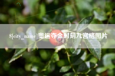 永春奥运夺金时刻九宫格图片