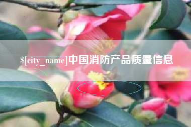 永春中国消防产品质量信息