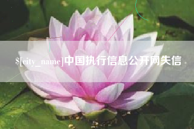 永春中国执行信息公开网失信