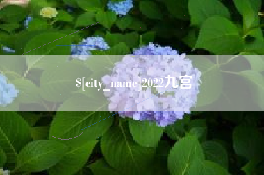 永春2022九宫