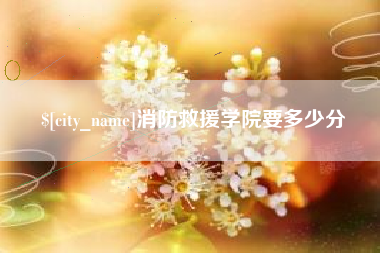 永春消防救援学院要多少分